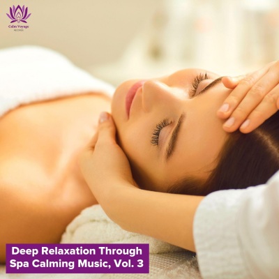 Deep Relaxation Through Spa Calming Music, Vol. 3