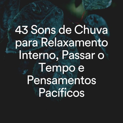 43 Sons de Chuva para Relaxamento Interno, Passar o Tempo e Pensamentos Pacíficos