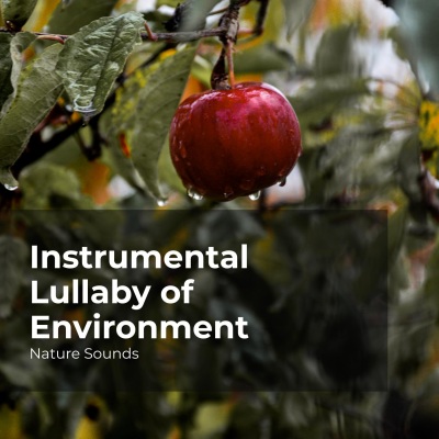 Instrumental Lullaby of Environment