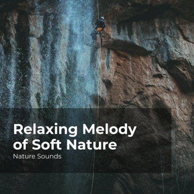 Relaxing Melody of Soft Nature