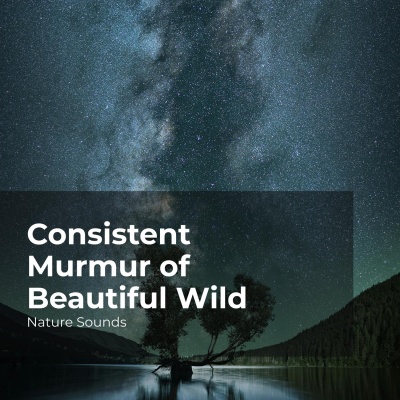 Consistent Murmur of Beautiful Wild