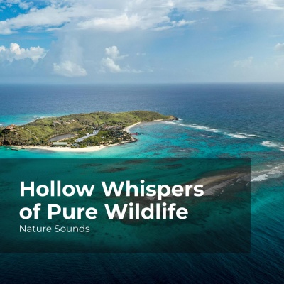 Hollow Whispers of Pure Wildlife