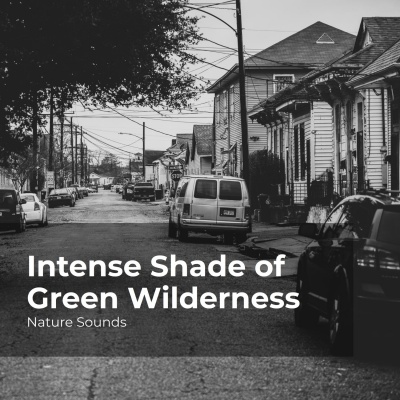Intense Shade of Green Wilderness