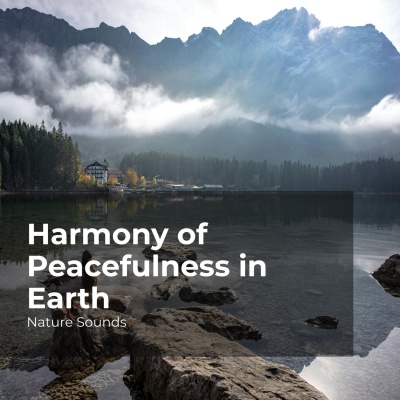 Harmony of Peacefulness in Earth