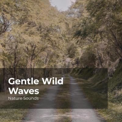 Gentle Wild Waves