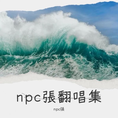 npc張翻唱集