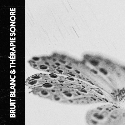 Bruit Blanc & Sonothérapie: La Nature EST Bruit