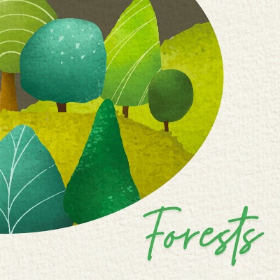 Forests