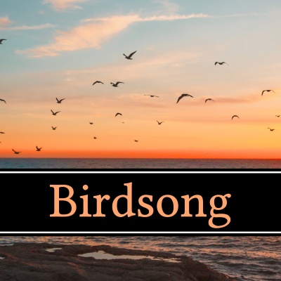 Birdsong