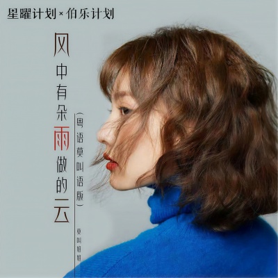 莫叫姐姐 - 风中有朵雨做的云 (DJheap九天版)