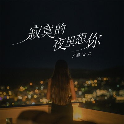 寂寞的夜里想你