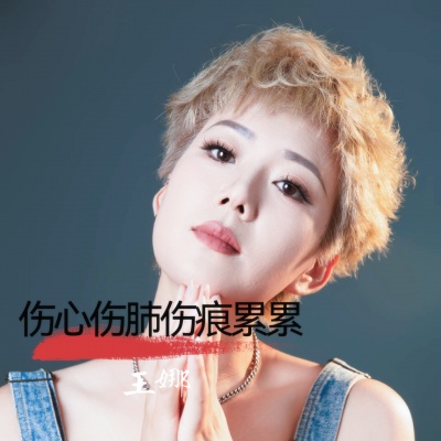 王娜 - 伤心伤肺 (DJAs版)