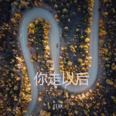 你走以后