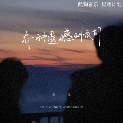 田园 - 有一种遗憾叫我们