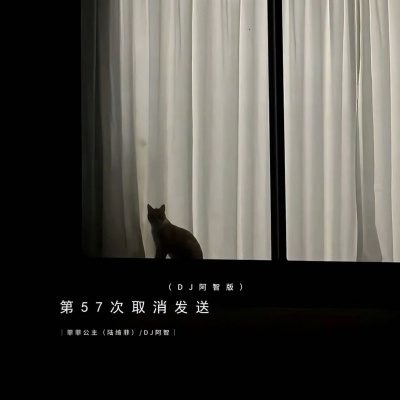 第57次取消发送 (DJ阿智版)