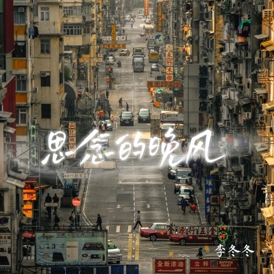 李冬冬 - 思念的晚风