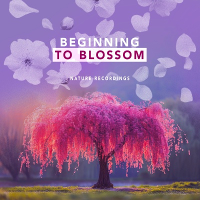 Beginning to Blossom