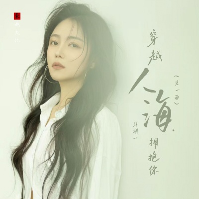 穿越人海拥抱你（见一面）（DJ默涵版）