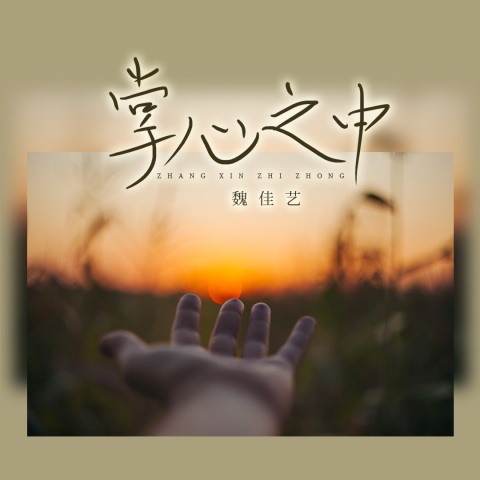 掌心之中(魏佳艺)